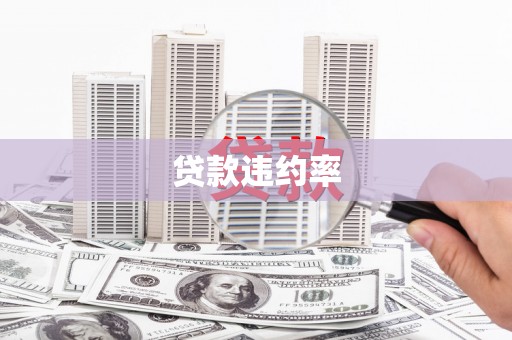 锦江贷款违约率