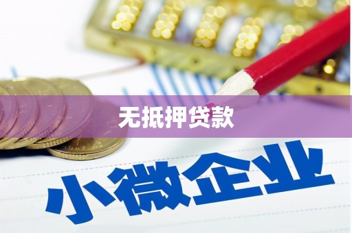 锦江无抵押贷款
