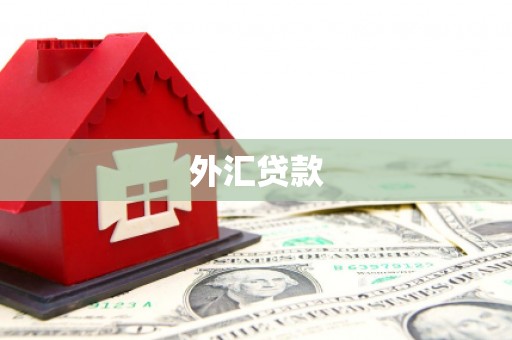 锦江外汇贷款