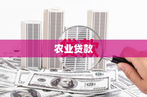 锦江农业贷款