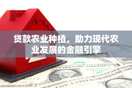 锦江贷款农业种植，助力现代农业发展的金融引擎
