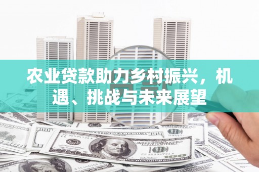 锦江农业贷款助力乡村振兴，机遇、挑战与未来展望
