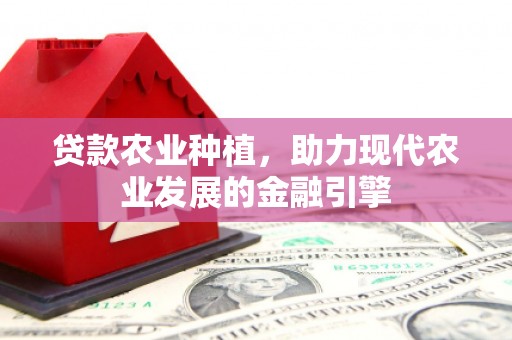 锦江贷款农业种植，助力现代农业发展的金融引擎