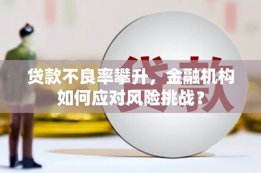 锦江贷款不良率攀升，金融机构如何应对风险挑战？