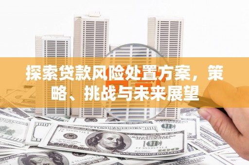 锦江探索贷款风险处置方案，策略、挑战与未来展望