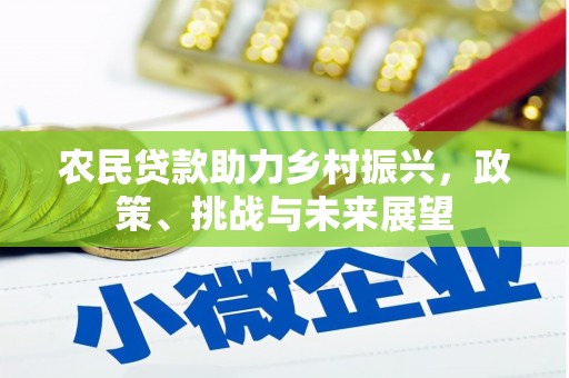 锦江农民贷款助力乡村振兴，政策、挑战与未来展望
