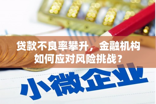 锦江贷款不良率攀升，金融机构如何应对风险挑战？