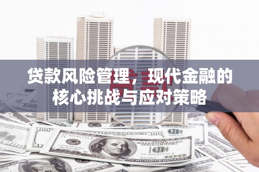 锦江贷款风险管理，现代金融的核心挑战与应对策略