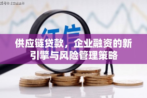 锦江供应链贷款，企业融资的新引擎与风险管理策略