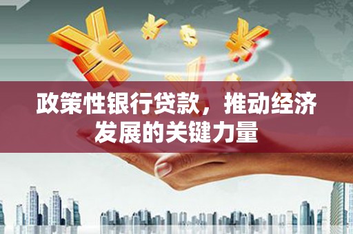 锦江政策性银行贷款，推动经济发展的关键力量