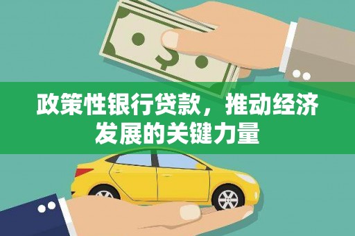 锦江政策性银行贷款，推动经济发展的关键力量