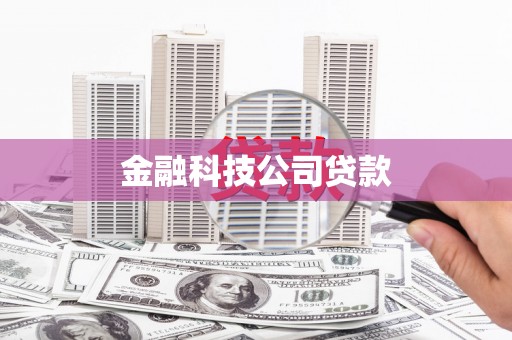 锦江金融科技公司贷款