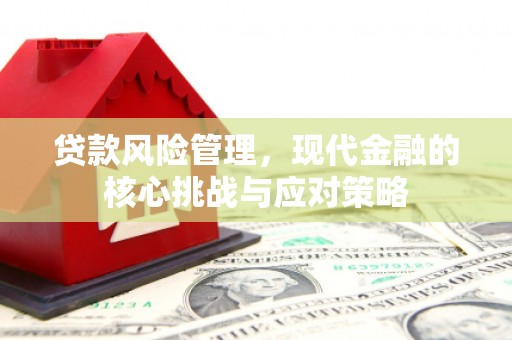 锦江贷款风险管理，现代金融的核心挑战与应对策略