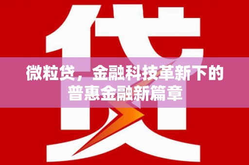 锦江微粒贷，金融科技革新下的普惠金融新篇章