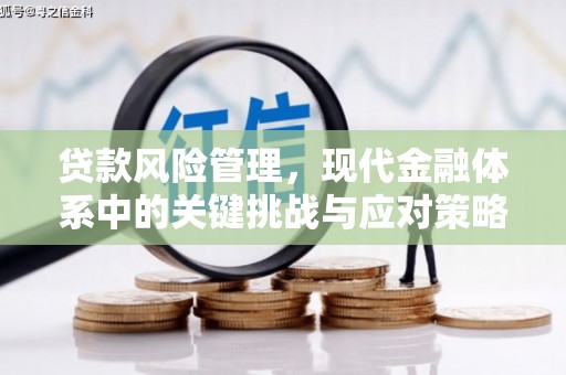 锦江贷款风险管理，现代金融体系中的关键挑战与应对策略