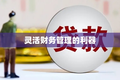 锦江灵活财务管理的利器