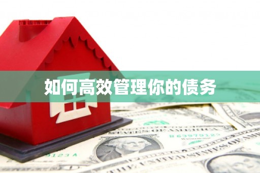 锦江如何高效管理你的债务