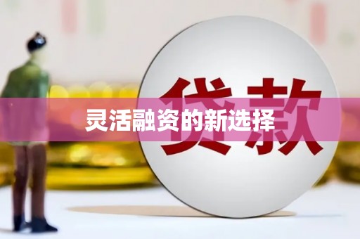 锦江灵活融资的新选择