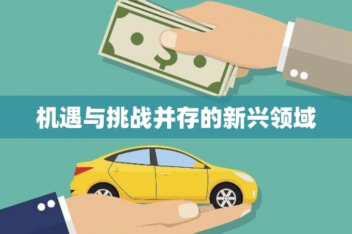 锦江机遇与挑战并存的新兴领域