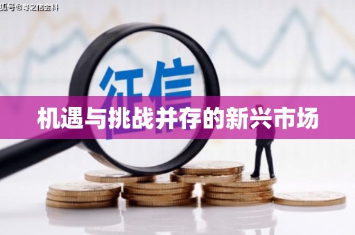 锦江机遇与挑战并存的新兴市场